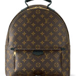 Louis Vuitton Palm Springs MM M44874 Brown